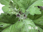 cb29ab72.jpg