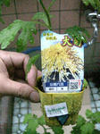IMG_7096-2.jpg