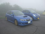 img41.jpg