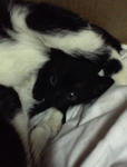 Picture0180.jpg