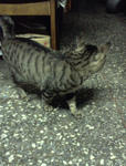 Picture0184.jpg