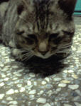 Picture0191.jpg