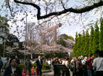 靖国神社
