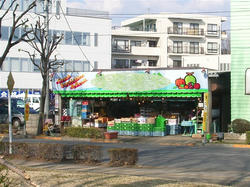 某フルーツ店