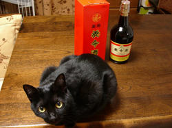 注意：手前の黒い物体は養命酒ではございません