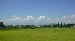 落ち込んでる間に夏も終わりだな