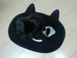 黒くてわからん