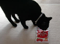 これうまいの？