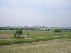 のどかな利根川河川敷