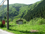 合成みたいね