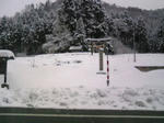 雪だらけ