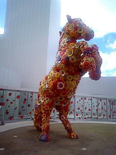 Ma310103.jpg