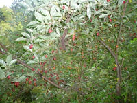3f943d5a.JPG