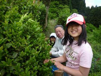P1050160.JPG
