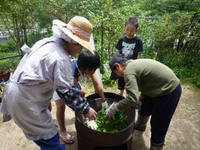 P1050173.JPG