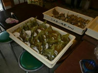 P1250350.JPG