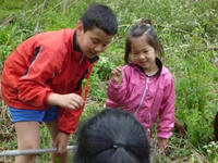 P1050567.JPG