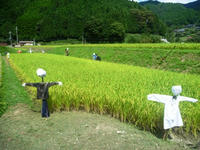 P1080004.JPG