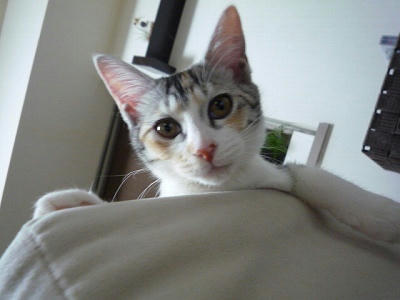 P1010145.jpg