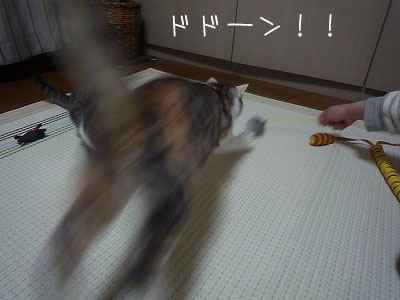 P-1080560.jpg