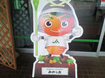 afc24671.JPG