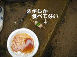 DSCF0548.JPG