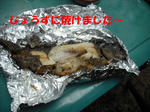 DSCF0560.JPG
