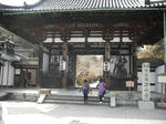 DSCF0768.jpg