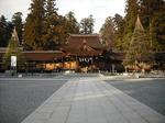 DSCF0770.jpg
