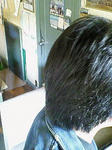 NEC_0028.JPG