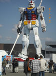 IMGP1211.jpg