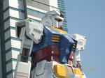 IMGP1215.jpg