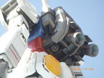 IMGP1221.jpg