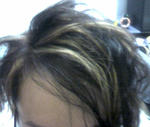0220620071111221508.jpg