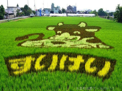 田園アート