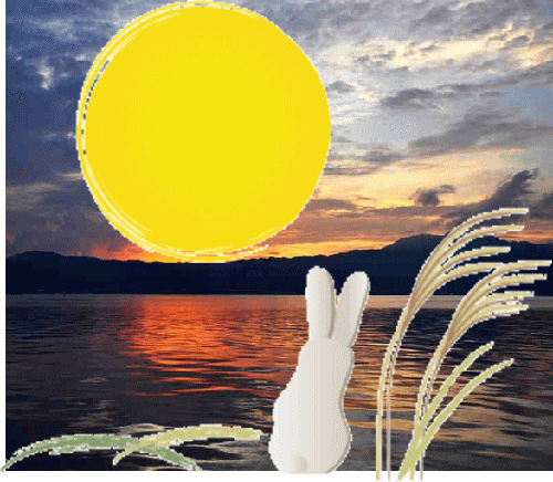 カメラ修理中