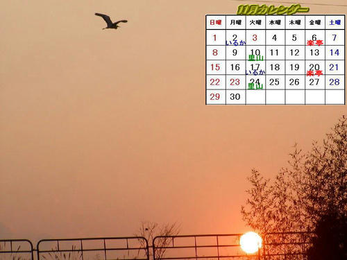 11月カレンダー