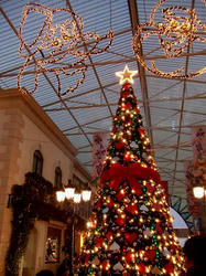 DSCF3088.jpg
