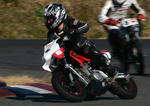 IMG_2803.JPG