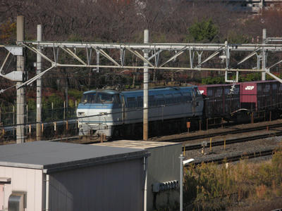 IMG_9580.JPG