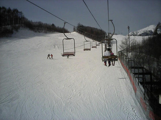 080302igaya00.jpg