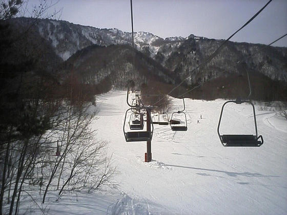 080302jiigatake00.jpg