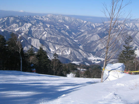 080308nomugi00.JPG