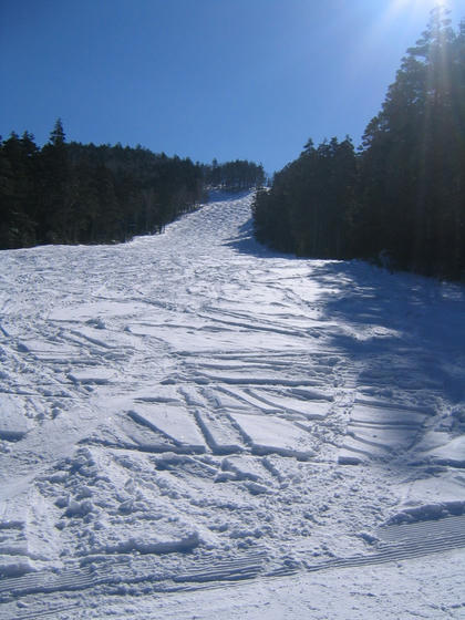 080308nomugi02.JPG