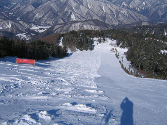080308nomugi03.JPG