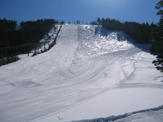 080308nomugi04.JPG