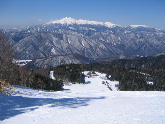 080308nomugi05.JPG