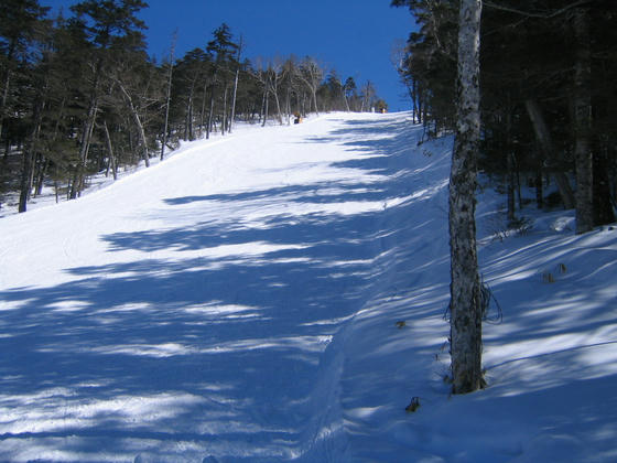 080308nomugi06.JPG