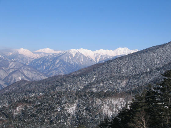 080308nomugi09.JPG