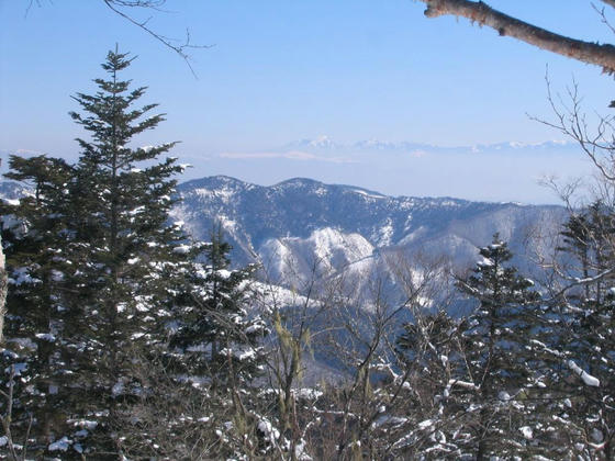 080308nomugi11.JPG